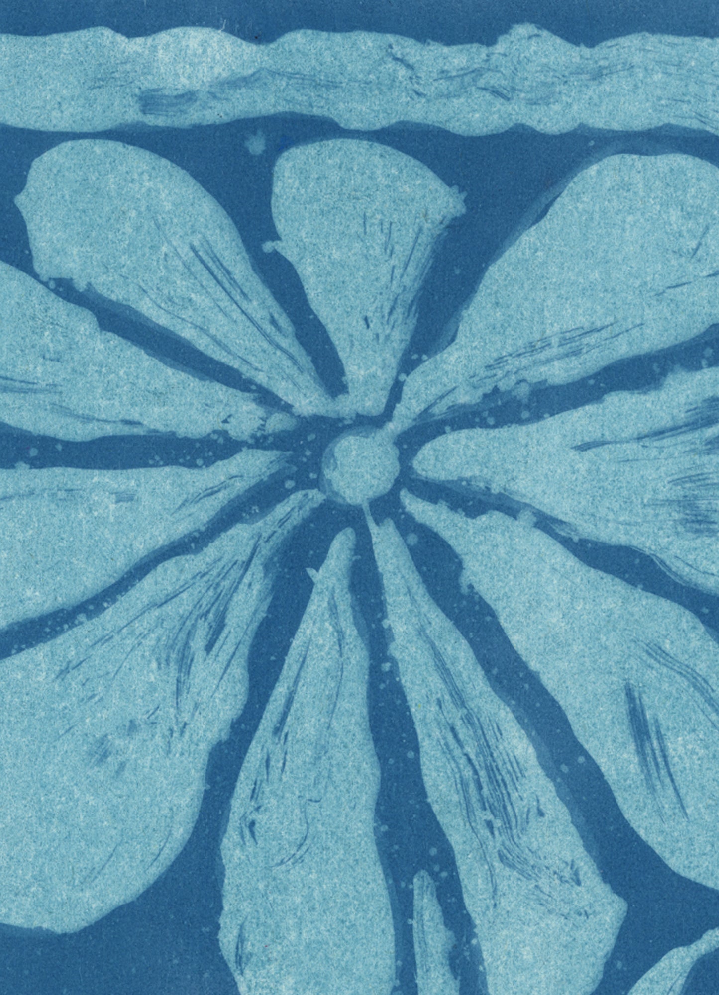 Cyanotype 24x18 cm